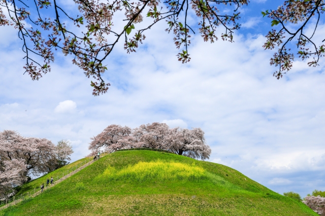 さきたま古墳公園
