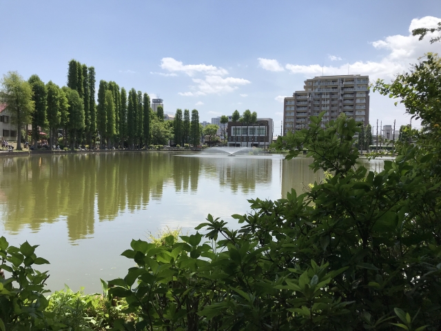 別所沼公園 さいたま市南区の人気観光スポット