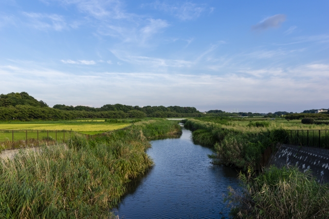 見沼田んぼ さいたま市見沼区の人気観光スポット
